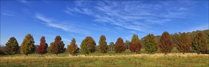 Shades of Autumn - VIC (PBH4 00 13258)